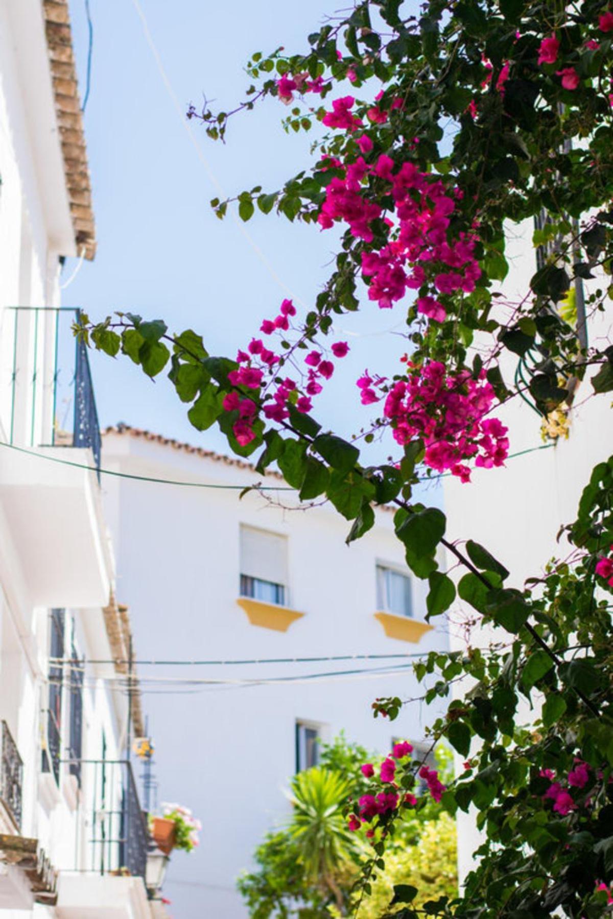 Superior 3Br Golfla Apartment Minutes From Puerto Banus & Marbella Málaga Eksteriør billede